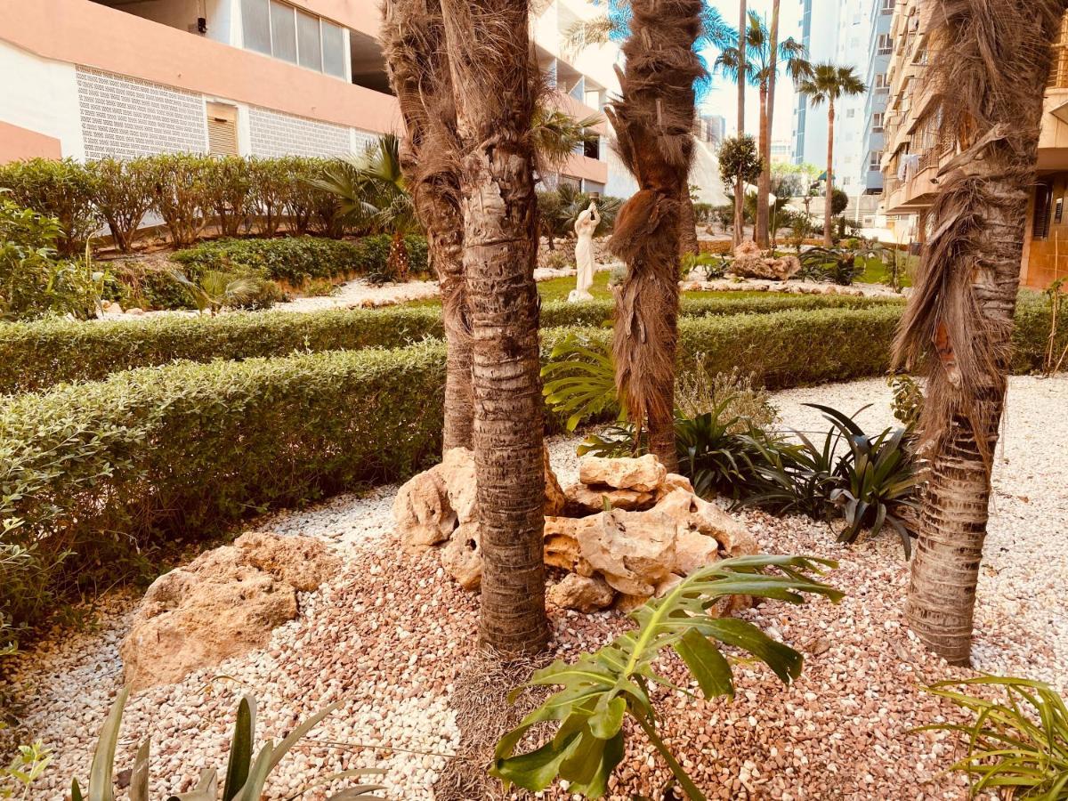 Be Luxury Apartment 20 Mts From The Beach بينايدورم المظهر الخارجي الصورة